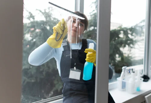 Nettoyage de vitres intérieures et extérieures à Montalembert